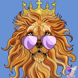 Meet your Posher, Timothy